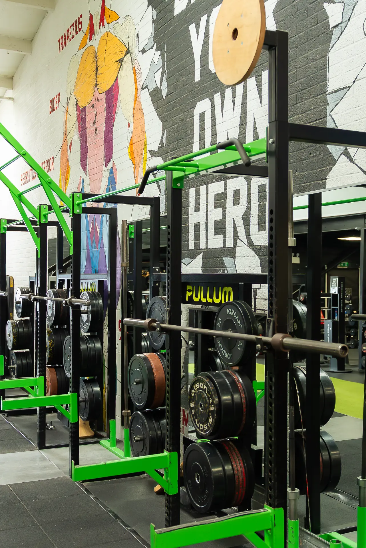 Free weights area with green Pullum racks, Olympic bars and Jordan bumper plates