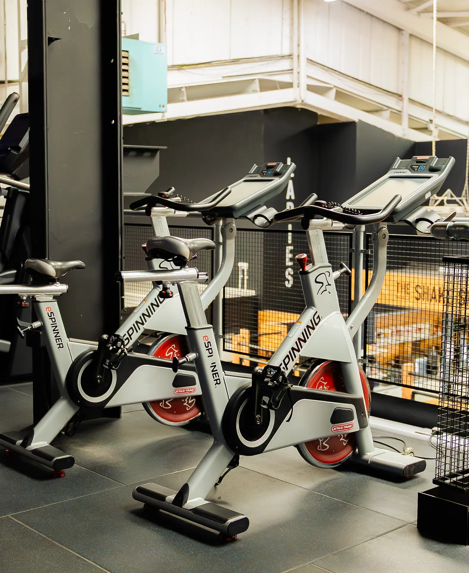 Spin bikes ready for a class in the studio area