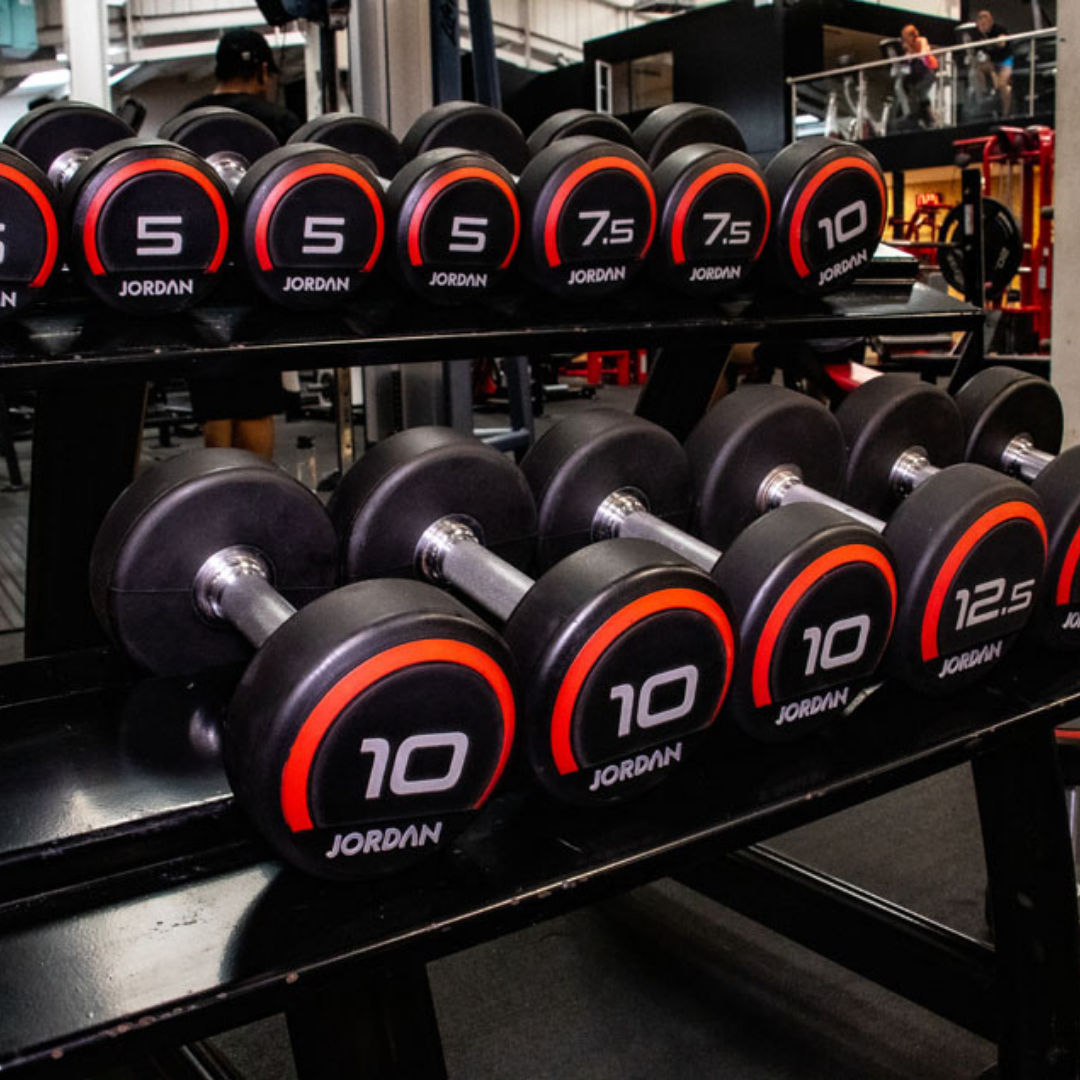 Cardio equipment lined up on the gym floor